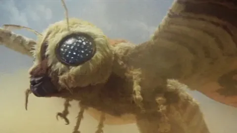 冰岛超5胜4期专家推荐：进攻狂潮延续客场不败能否继续